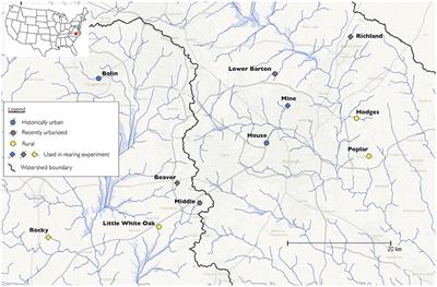 Urbanization Alters Swimming Performance of a Stream Fish